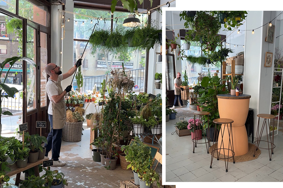 Plantas Luego Existes