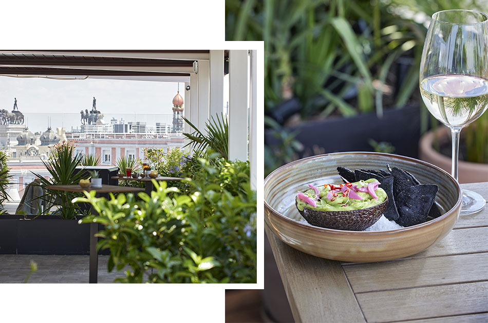 El Cielo de Hijos de Tomás