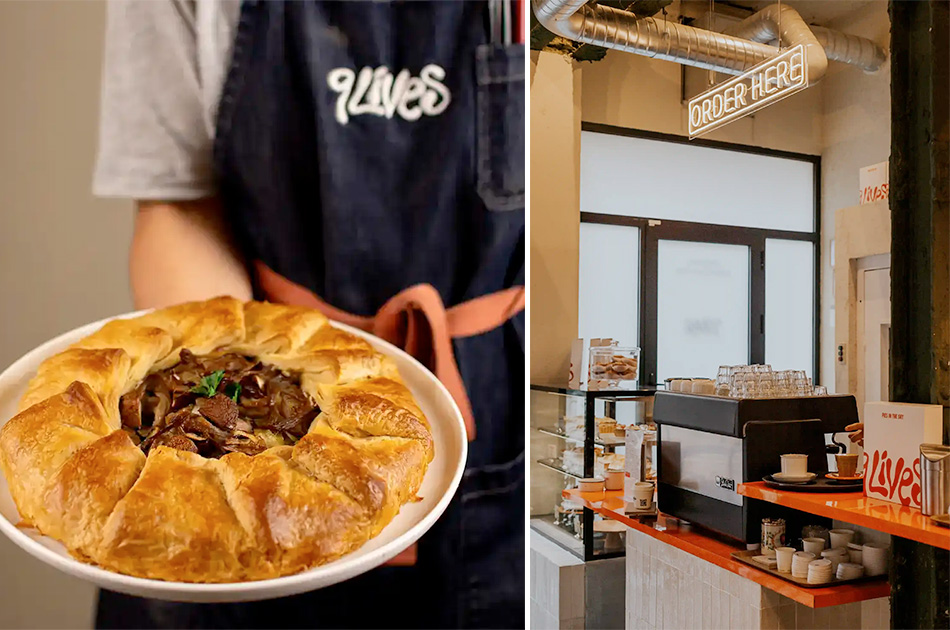 American Pie Thanksgiving 9 Lives