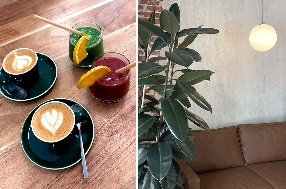 Pascal Café Madrid Pascal Café Madrid