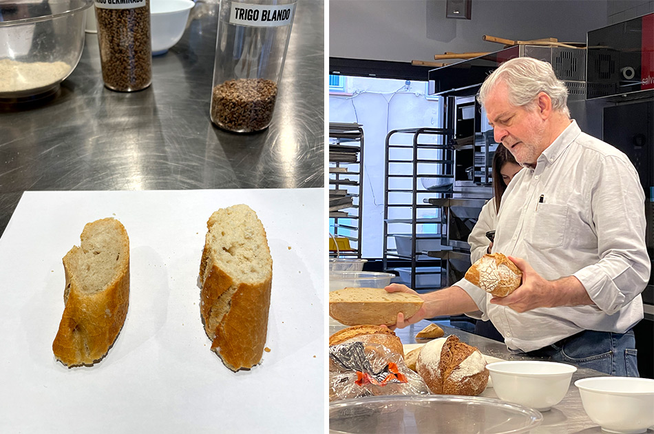 Pan Delirio catas de pan Pan Delirio catas de pan