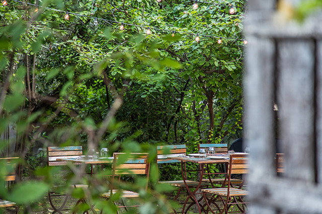 Cenas de verano en el Olivar de Castillejo