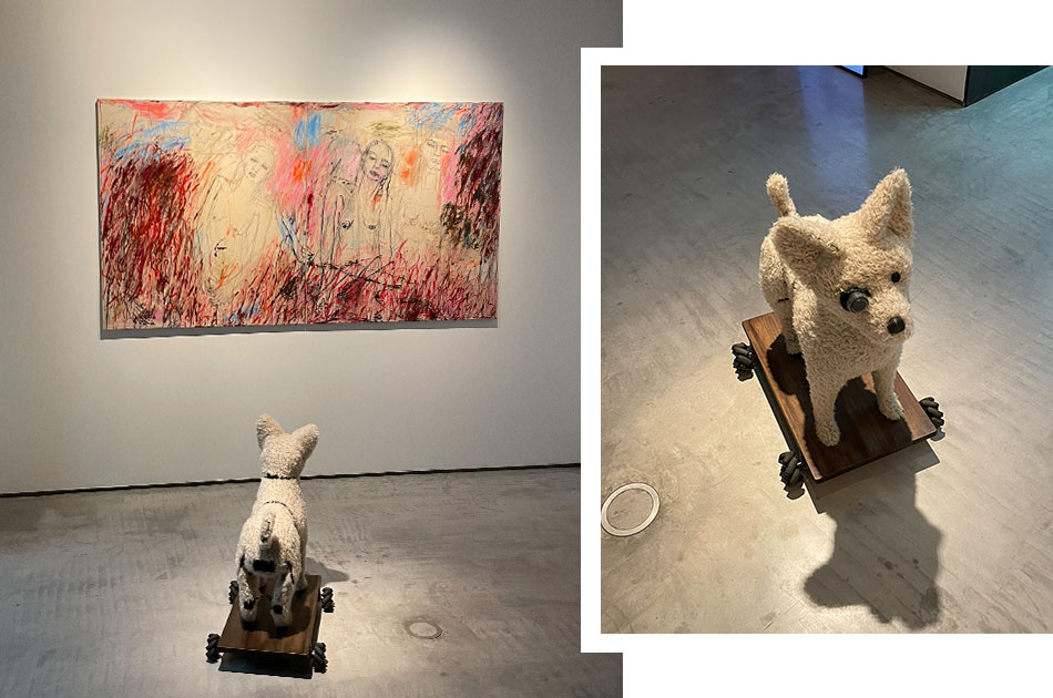 Colección SOLO Colección SOLO