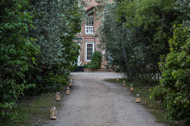Cenas de verano en el Olivar de Castillejo