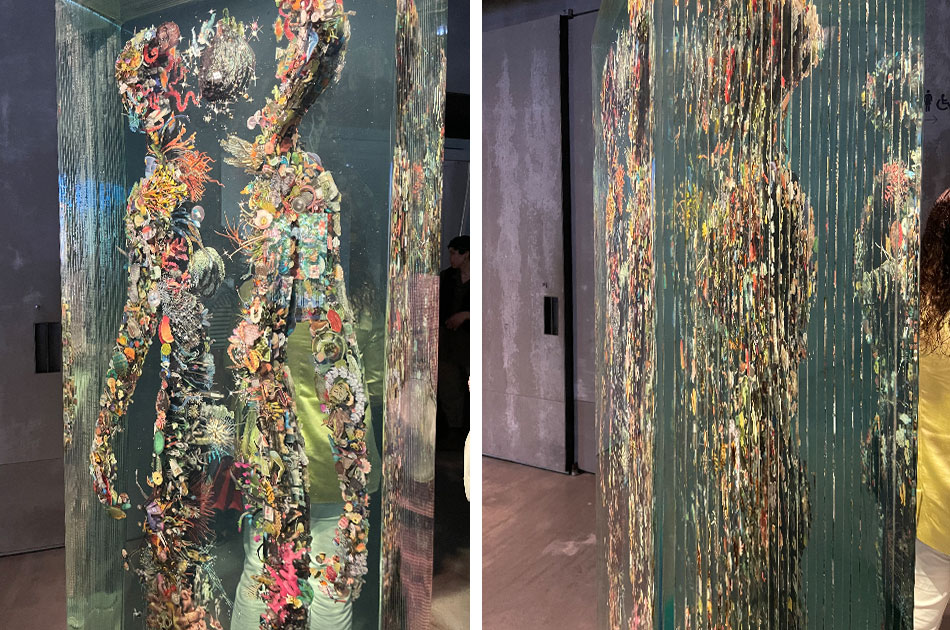 Colección SOLO Colección SOLO