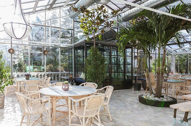 Invernadero de los Peñotes Invernadero de los Peñotes