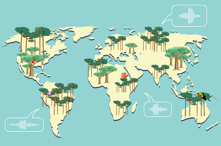 Mapa de los sonidos de los bosques del mundo