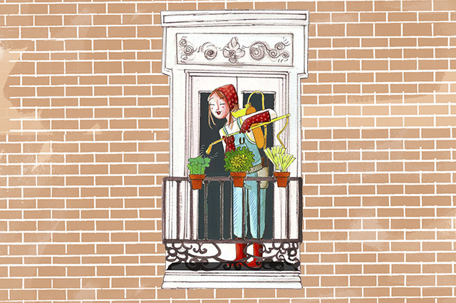 Trucos para cuidar las plantas