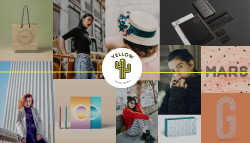 Yellow Cactus Studio - Sisters! La comunidad de mujeres que quieren crecer