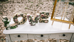 AMANDA LÓPEZ DECORACIONES - Sisters! La comunidad de mujeres que quieren crecer