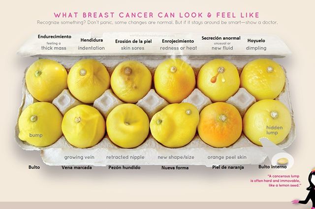 Campaña 'Doce limones' Campaña 'Doce limones'